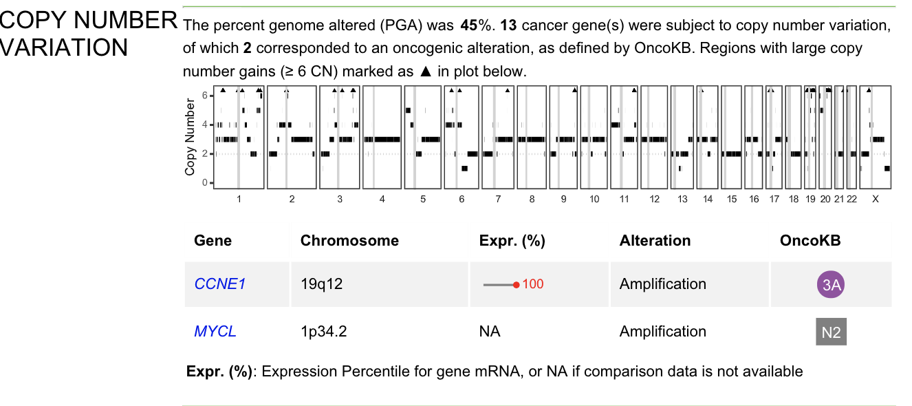 WGTS copy number variation section